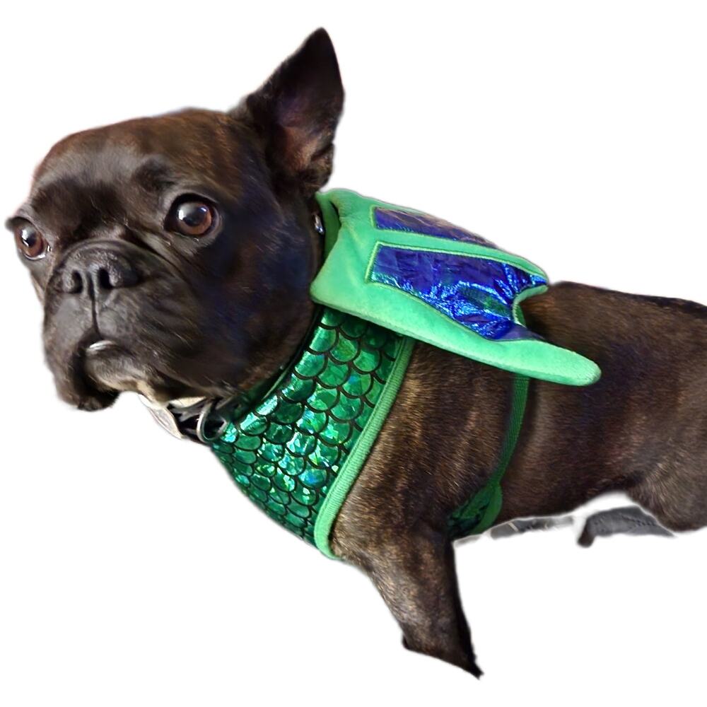 Pet Dragon wing costume size s/m Dog green iridescent Halloween Holiday fun - Picture 3 of 6